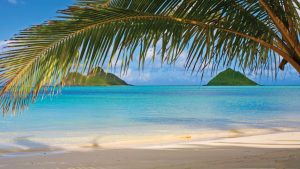 hawaii_medtravel