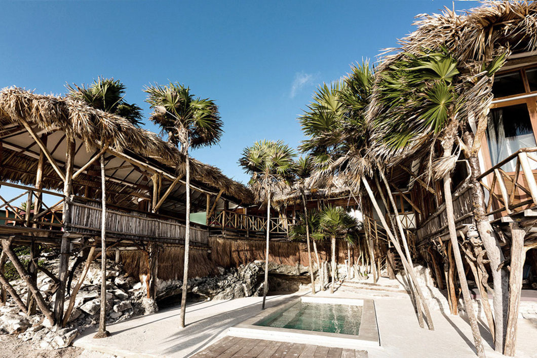 Papaya-Playa-Project