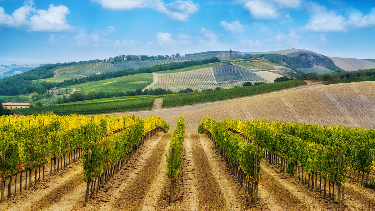 PAESAGGIO