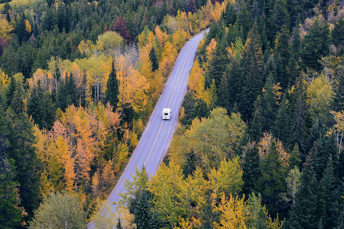 tim-gouw-MP8gUVg2bMQ-unsplash