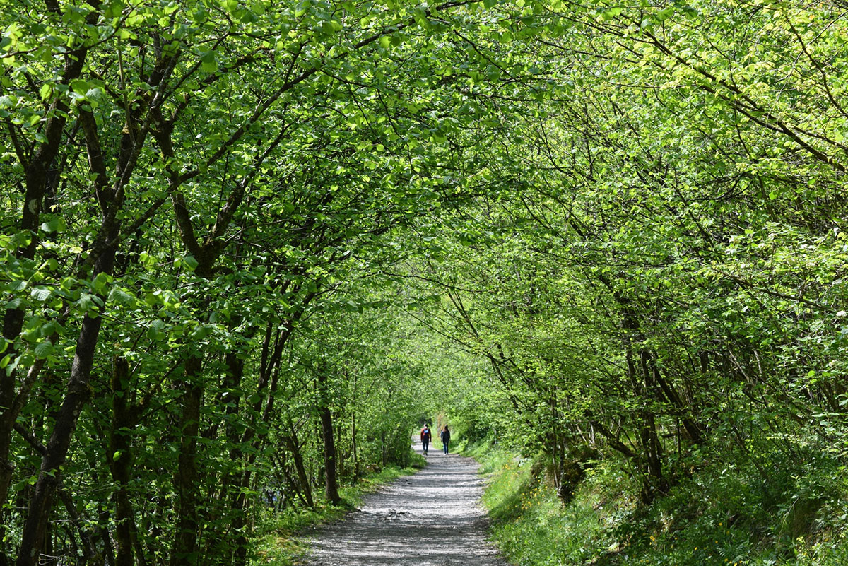 TREKKING-11
