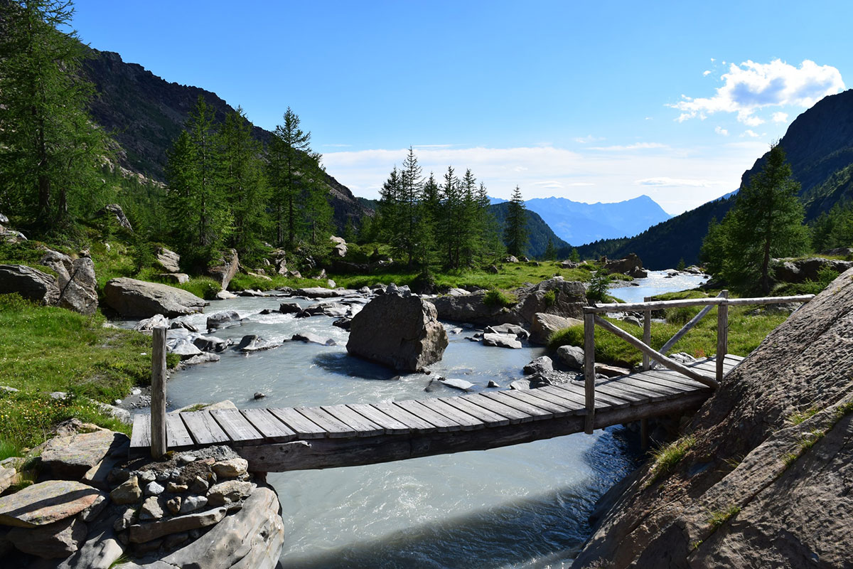 TREKKING-6