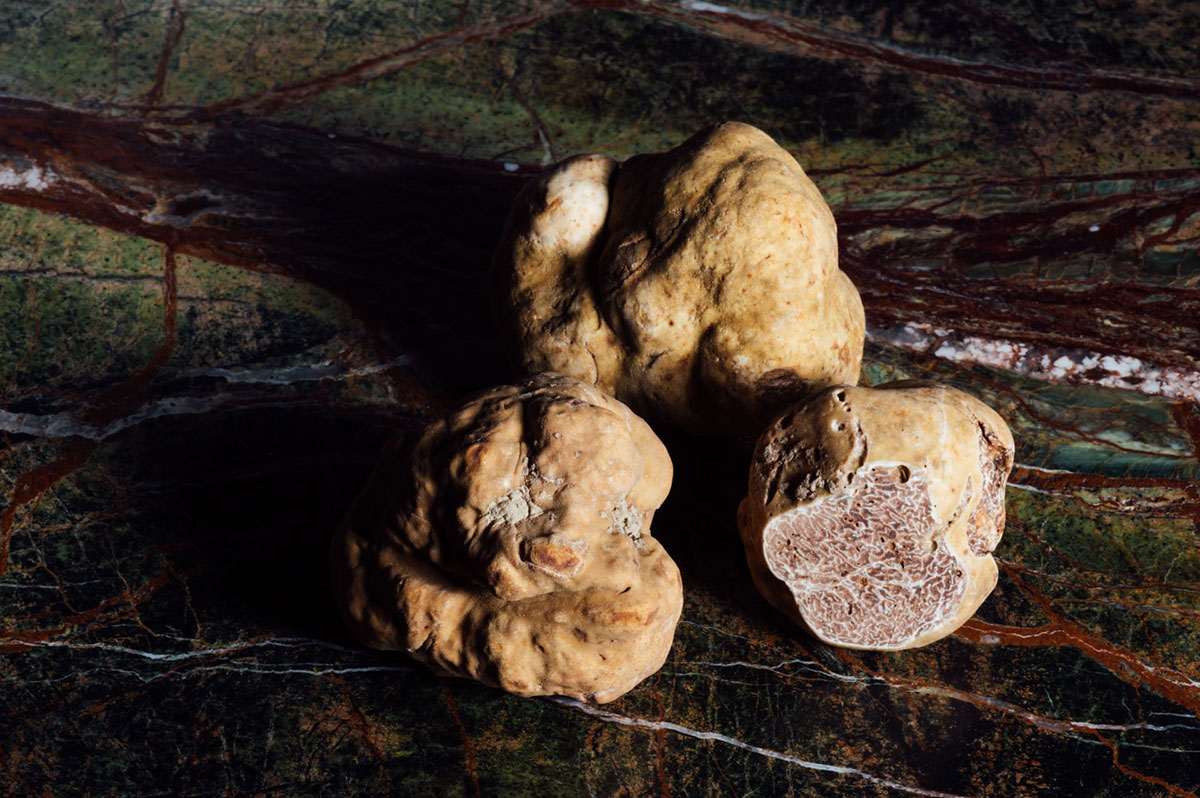 TARTUFO-4
