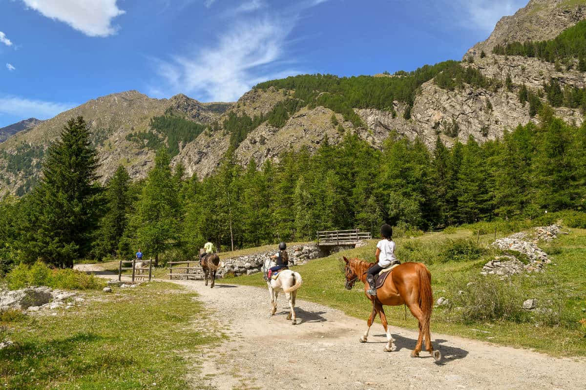 gran paradiso.e-borghi.com